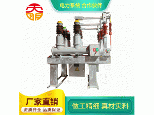ZCW10-40.5组合电器
