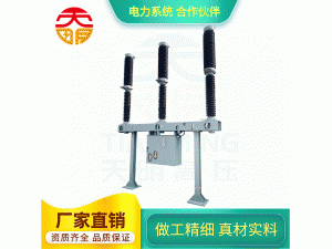 LW-145kV SF6断路器（出口型）